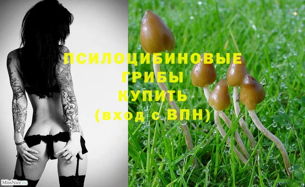 MDMA Premium VHQ Абаза