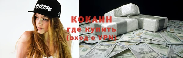 крисы Няндома