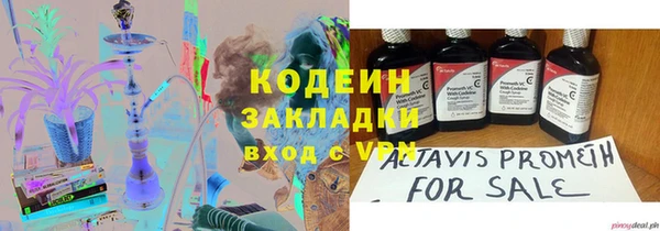 крисы Няндома